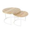 Picture of Wayne Salontafel Set 73 cm Wit Mangohout