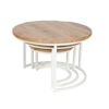 Picture of Alaska Salontafel Set 73 cm Wit Mangohout